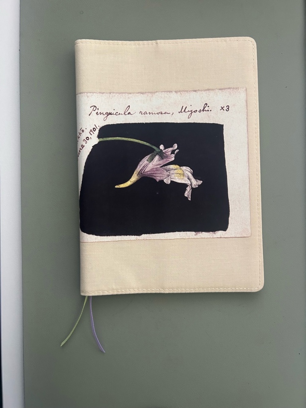 Brand New Hobonichi A5 Cousin Cover